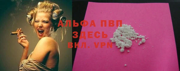 шишки Алзамай