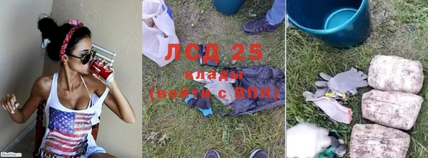 шишки Алзамай