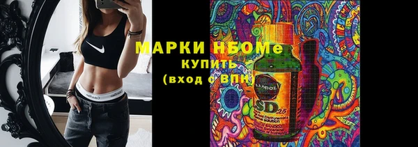 шишки Алзамай