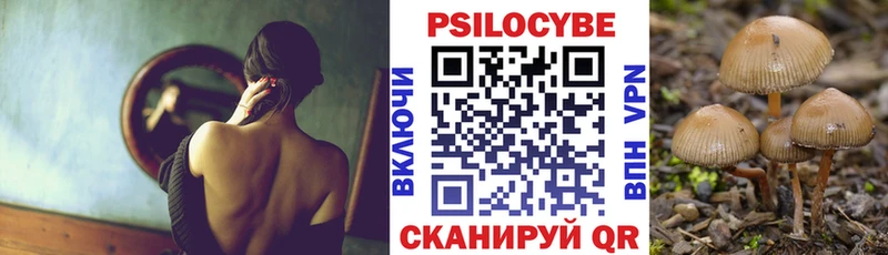 где купить   МЕГА ссылки  Галлюциногенные грибы Psilocybe  Феодосия 